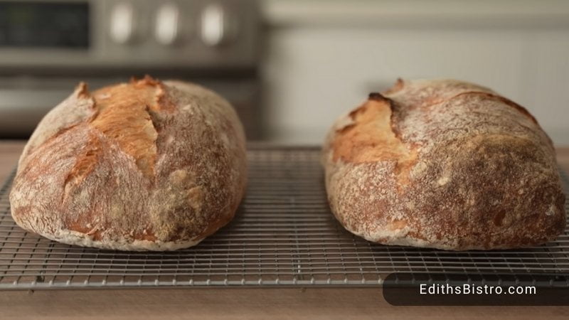 Ciabatta Bread 