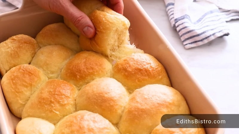 Dinner Rolls